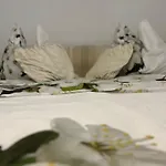 Apartament Urban Premium *