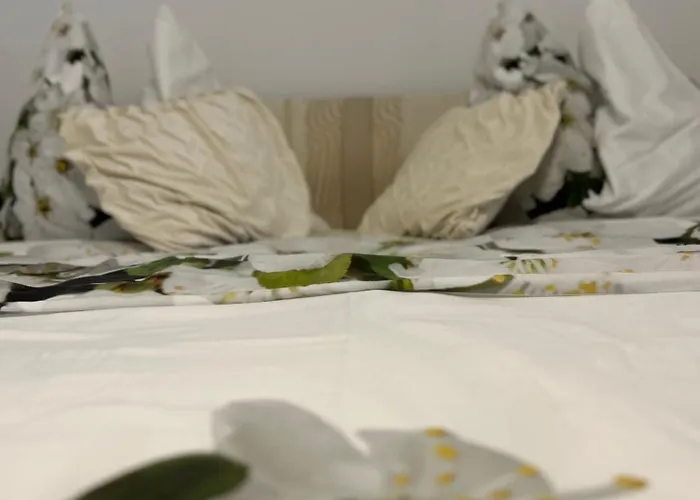 Daire Urban Premium *